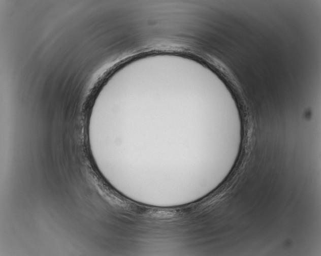 X0000116161027201001041110