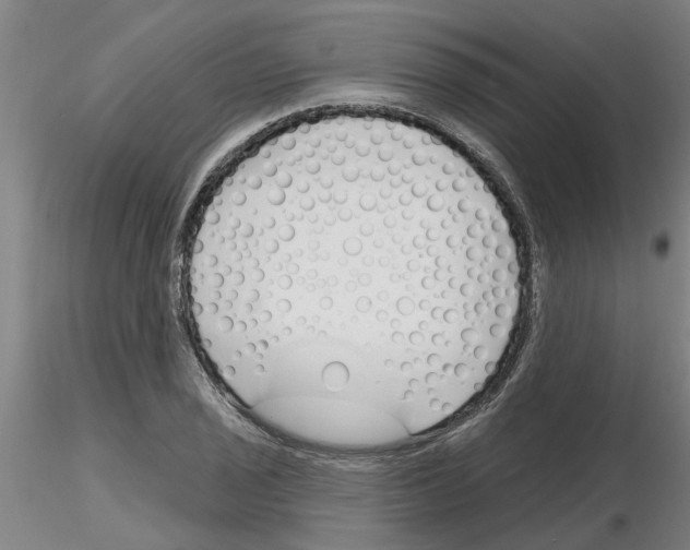 X0000116161029201001041110