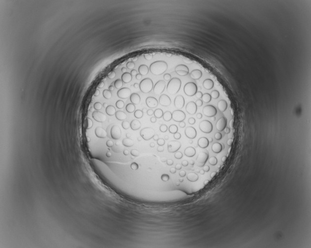 X0000116161030201001041110