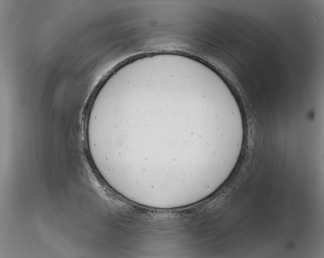 X0000116161031201001041110