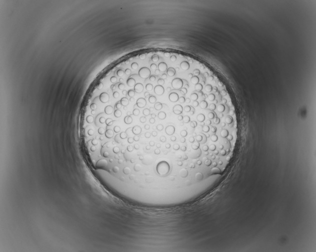 X0000116161032201001041110
