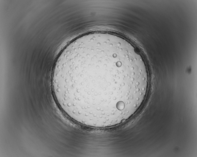 X0000116161033201001041110