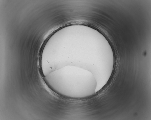 X0000116161034201001041110