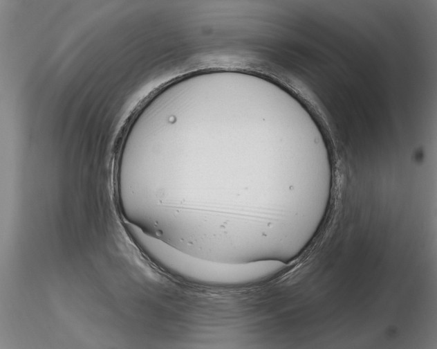 X0000116161035201001041110