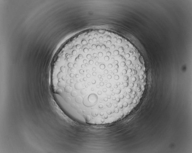 X0000116161036201001041110