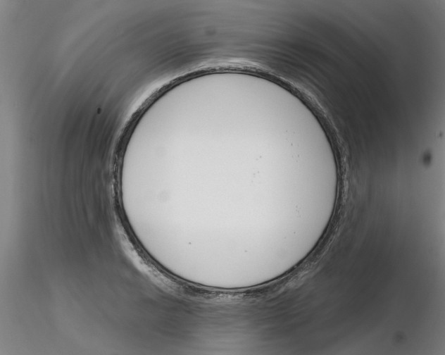 X0000116161038201001041110