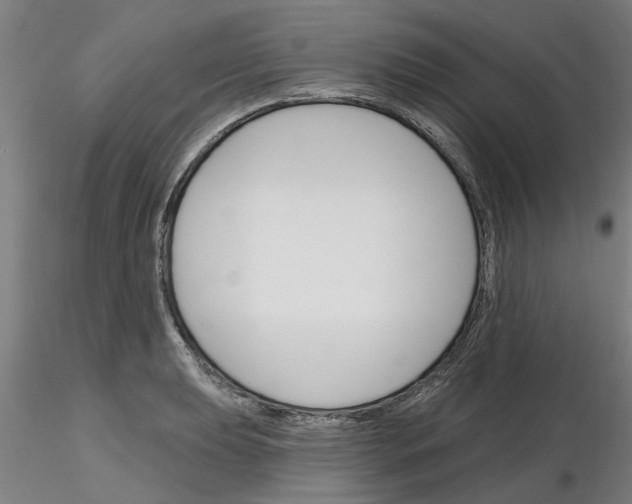 X0000116161039201001041110