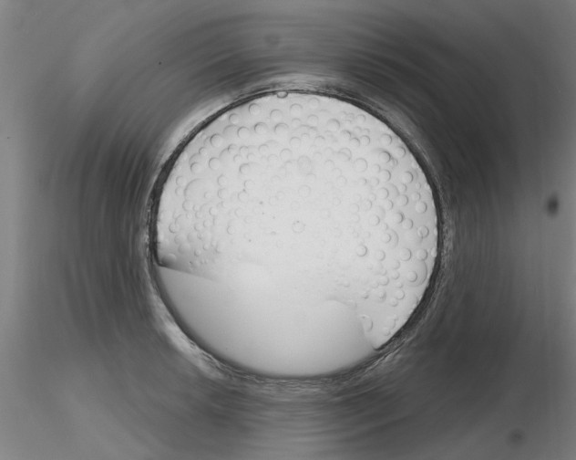 X0000116161042201001041110