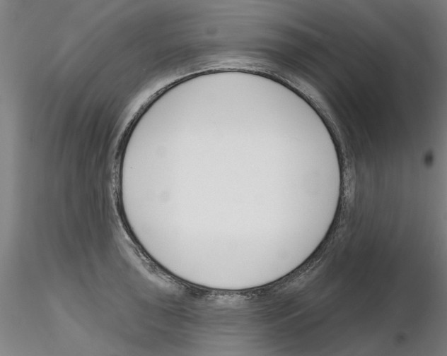 X0000116161043201001041110