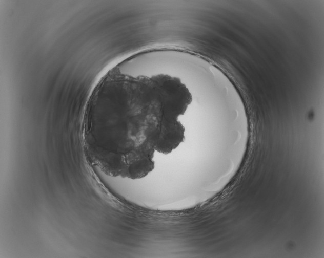 X0000116161044201001041110