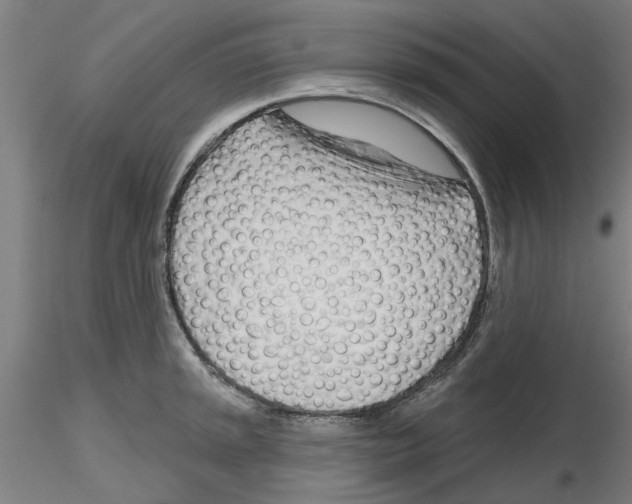 X0000116161045201001041110