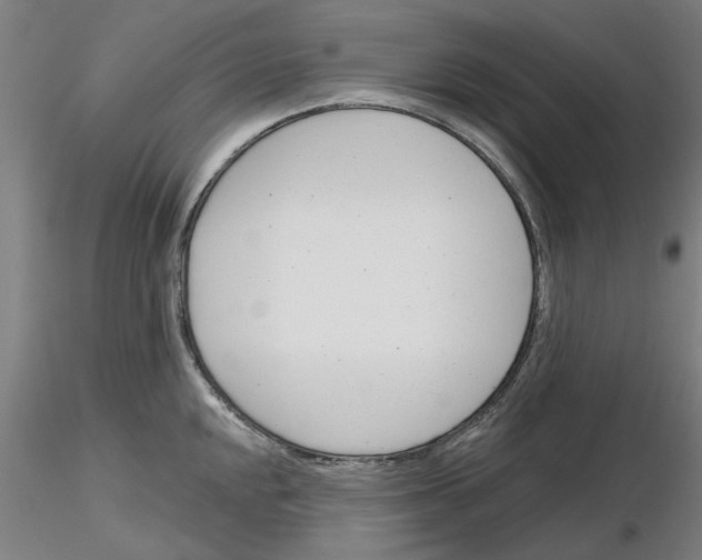 X0000116161048201001041110