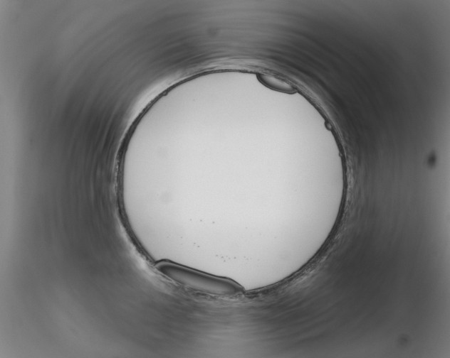 X0000116161050201001041110