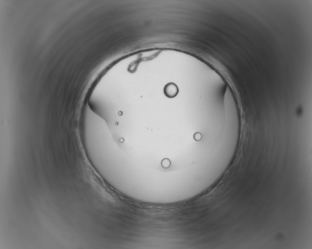 X0000116161051201001041110