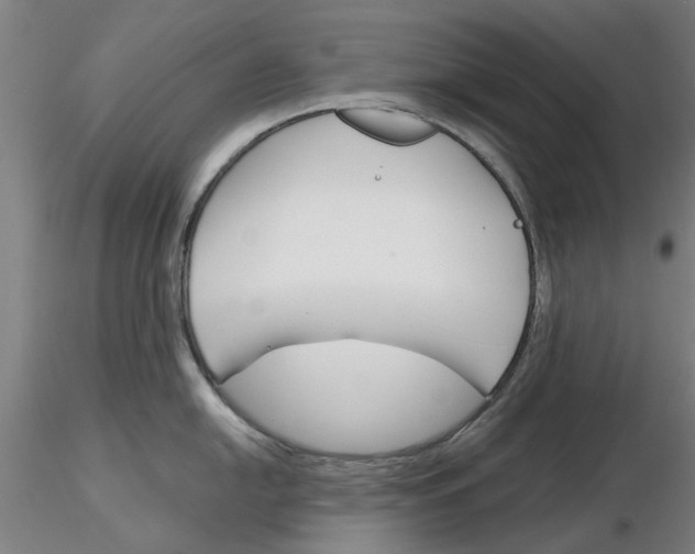 X0000116161054201001041110