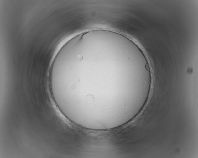 X0000116161056201001041110