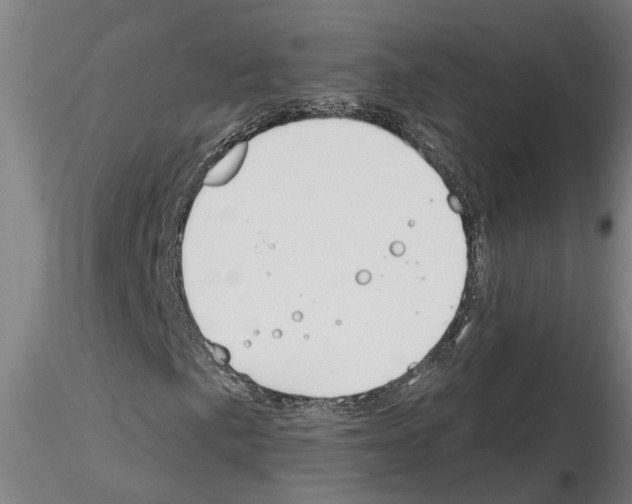 X0000116161057201001041109