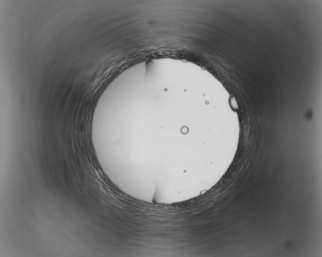 X0000116161060201001041109