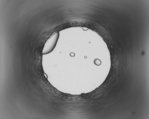 X0000116161061201001041109