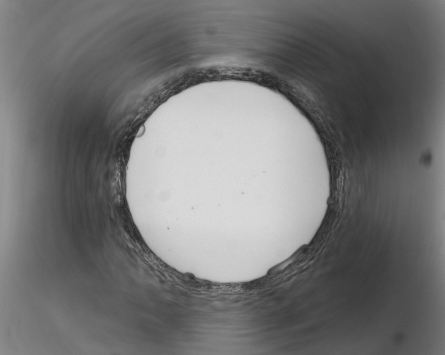 X0000116161062201001041109