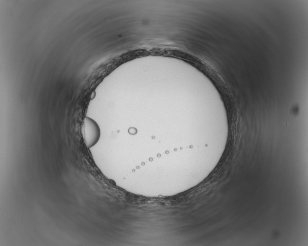 X0000116161063201001041109