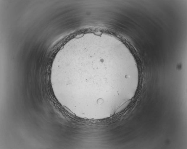 X0000116161064201001041109