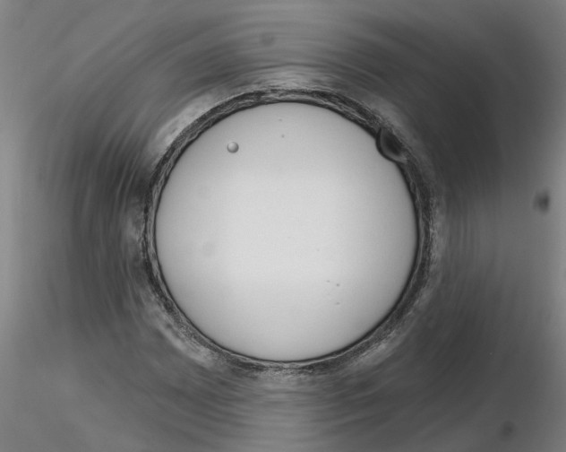 X0000116161065201001041109