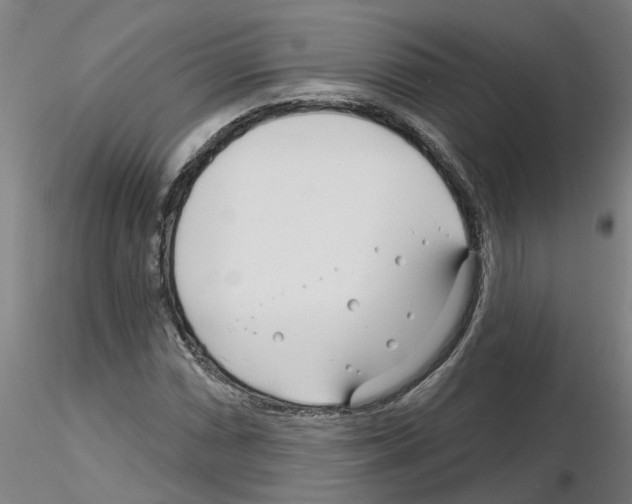 X0000116161066201001041109