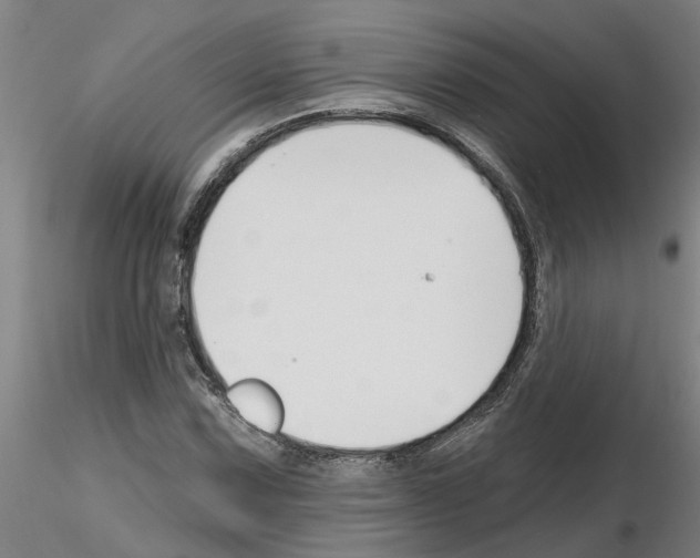 X0000116161067201001041109