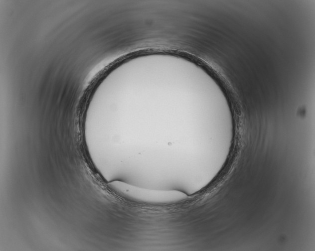 X0000116161070201001041109