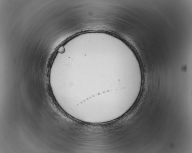 X0000116161071201001041109