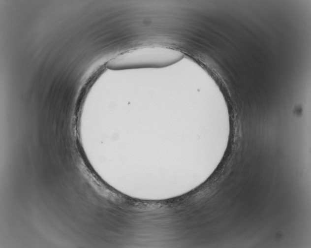 X0000116161072201001041109