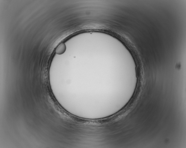 X0000116161073201001041109