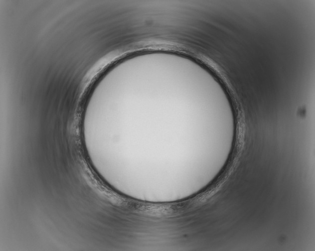 X0000116161074201001041109