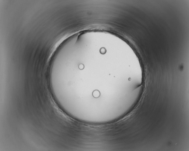 X0000116161075201001041109