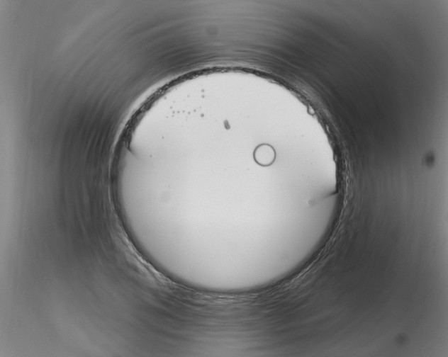 X0000116161076201001041109
