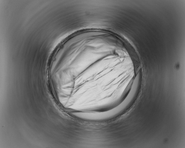 X0000116161077201001041109