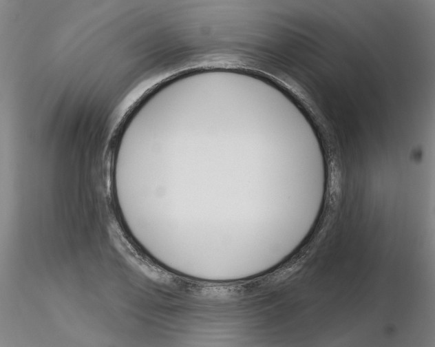 X0000116161078201001041109