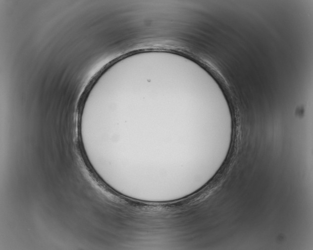 X0000116161079201001041109