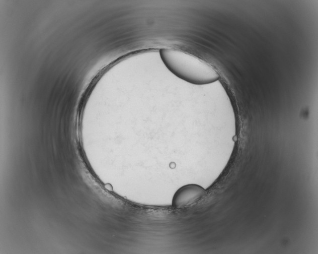 X0000116161080201001041109
