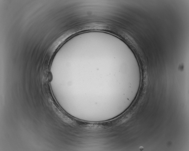 X0000116161081201001041109