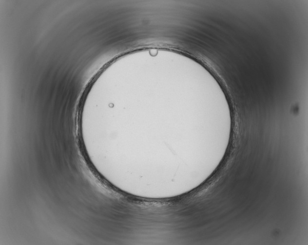 X0000116161082201001041109