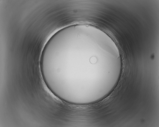 X0000116161084201001041109