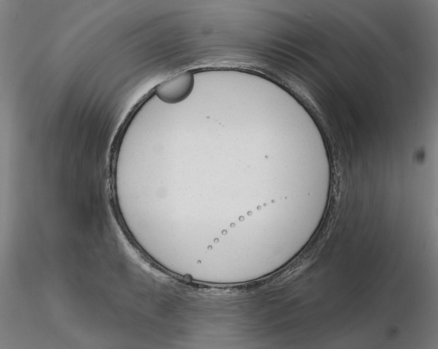 X0000116161087201001041109