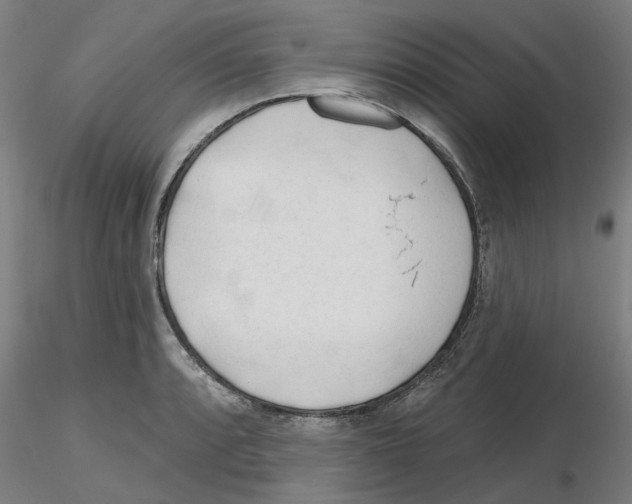 X0000116161088201001041109