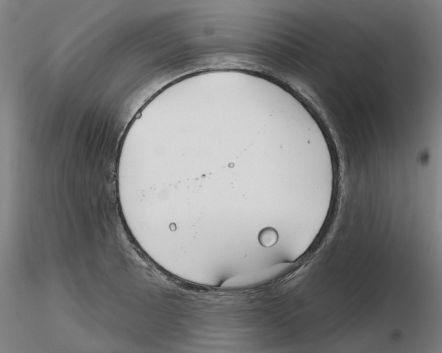 X0000116161089201001041109