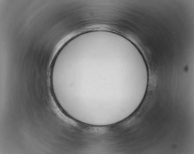 X0000116161090201001041109