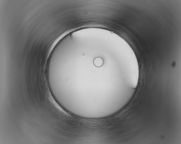 X0000116161092201001041109