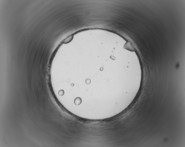 X0000116161093201001041109