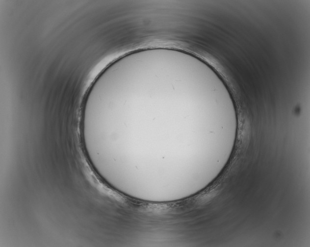 X0000116161094201001041109